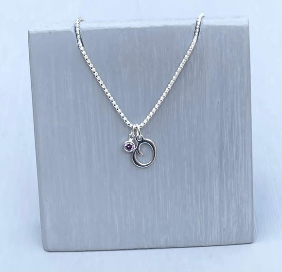 Initial and birthstone stirling silver necklace - Letter O with Amethyst - February  birthstone - 18 inch chain - other letters and birthstone's available for this stunning birthstone Jewellery